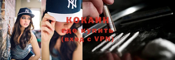 дживик Абинск