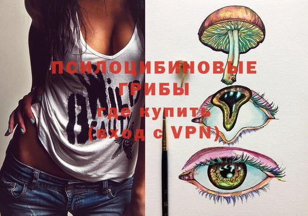 прущие грибы Абдулино