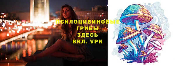 дживик Абинск