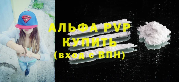 прущие грибы Абдулино