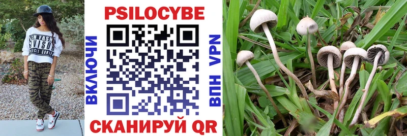 Псилоцибиновые грибы Psilocybe  Тулун 