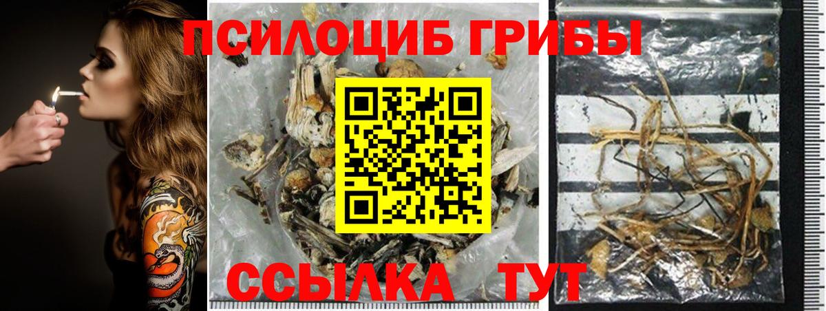 Псилоцибиновые грибы GOLDEN TEACHER Тулун