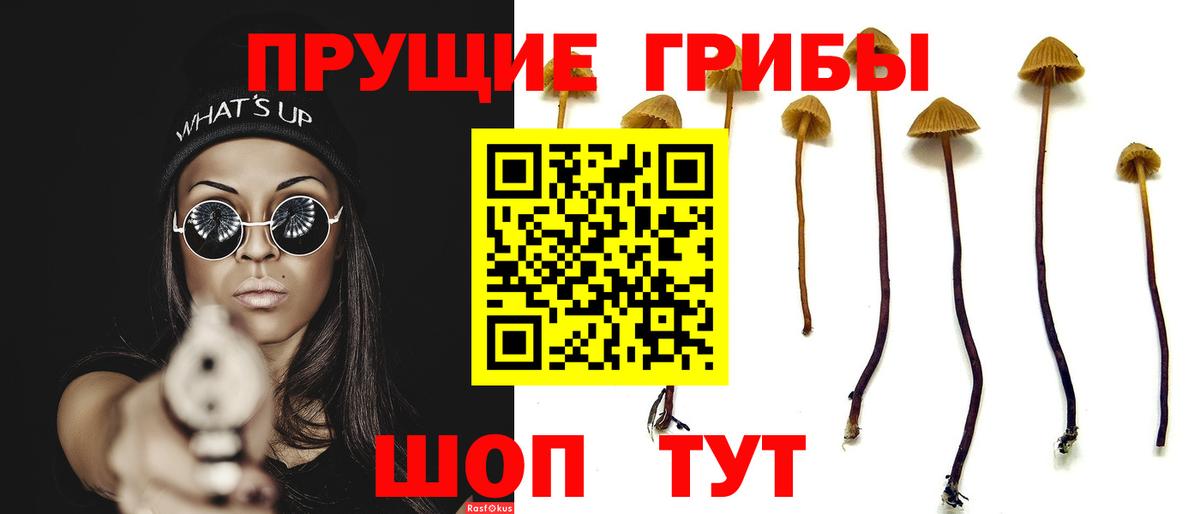 Галлюциногенные грибы мицелий  Вход с VPN  Тулун  Галлюциногенные грибы Magic Shrooms 