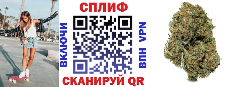магазин продажи   Тулун  Конопля AK-47 